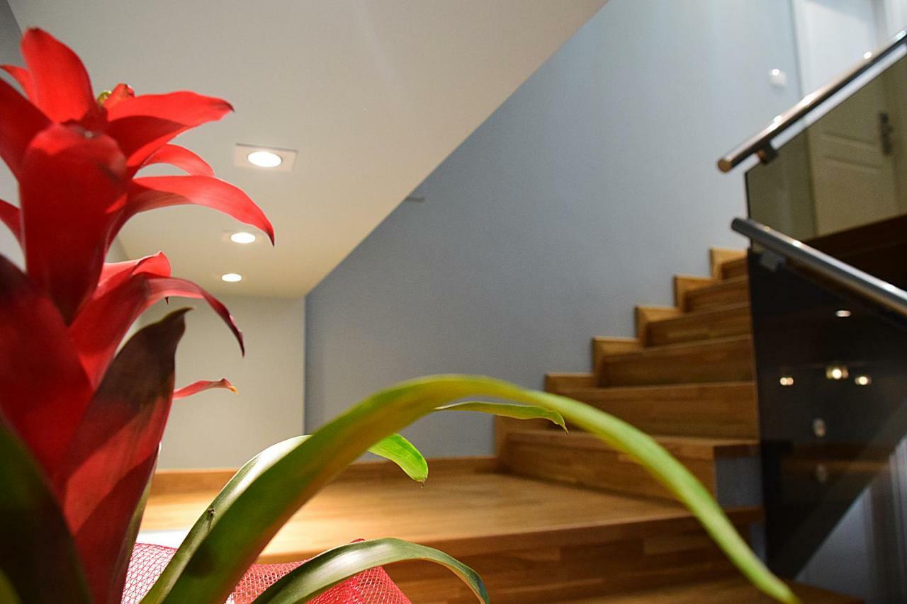 Eagles Philadelphia Bed & Breakfast Korce Ngoại thất bức ảnh